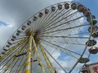 Wonder_Wheel_-_Bruch_-_Schneider_110.jpg