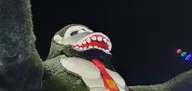 20221207_190550.webp