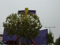 P1090378%20%28Copier%29.JPG