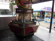 P1130237%20%28Copier%29.jpg