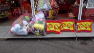 DSC01354.jpg