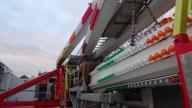 DSC01381.jpg
