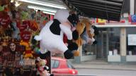 DSC06764.jpg