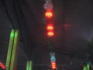 IMG_9395.jpg