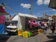 IMG_9519.jpg