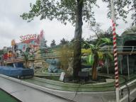 IMG_7548.jpg