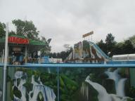 IMG_7551.jpg