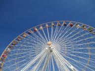 IMG_0232.jpg