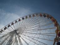 IMG_0240.jpg