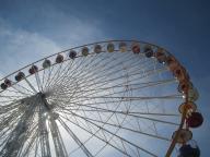 IMG_0241.jpg