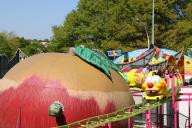 IMG_5442.jpg