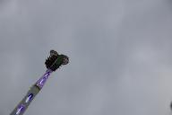 IMG_3328.jpg