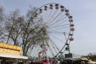 IMG_3760.jpg