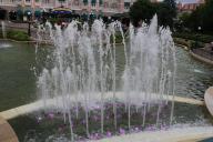 IMG_6973.jpg