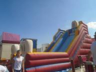 DSC07418.jpg
