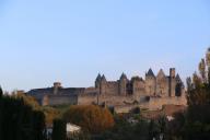 IMG_7484.jpg