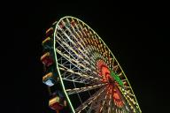 IMG_7927.jpg