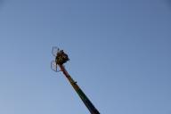 IMG_3480.jpg