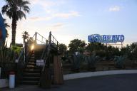 IMG_2843.jpg