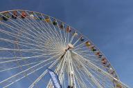 IMG_8365.jpg