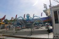 IMG_8368.jpg