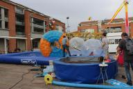 IMG_7230.jpg