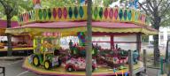 IMG_20220731_151048.jpg