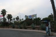 IMG_9351.jpg