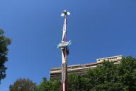 IMG_8768.jpg