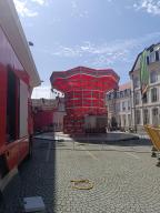 IMG_20230810_140319.jpg
