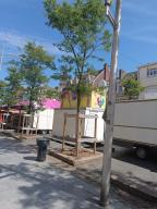 IMG_20230810_141806.jpg