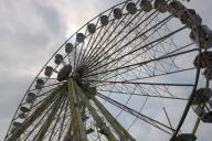 IMG_1107.jpg
