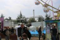 IMG_1118.jpg