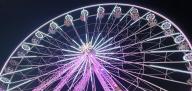 20231101_185559.jpg