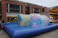 IMG_3274.jpg