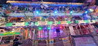 20241130_194320.webp