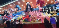 20241012_200317.webp