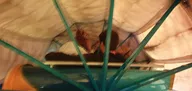 20241012_210820.webp
