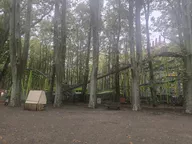 IMG_20241028_154801.webp