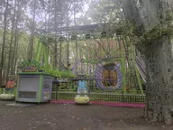 IMG_20241028_154839.webp