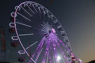 IMG_4262.webp