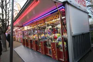 IMG_5555.webp