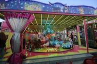 IMG_5620.webp