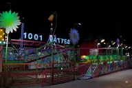 1001%20pattes_001.webp