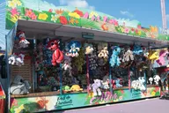divers_063.webp