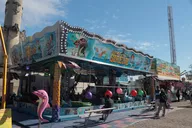 divers_090.webp
