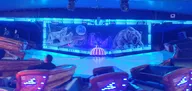 20250503_232913.webp
