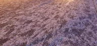20250223_183911.webp