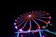IMG_1179.webp