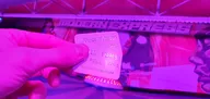 20250427_000526.webp